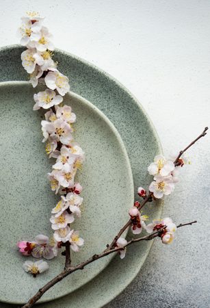 Minimalistic table setting with delicate apricot blossom