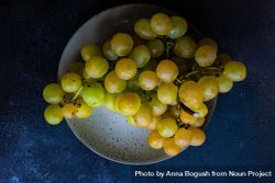 Plate of grapes on ceramic plate 5r9oR7