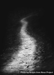 Grayscale photo of an empty pathway 4MvMGb
