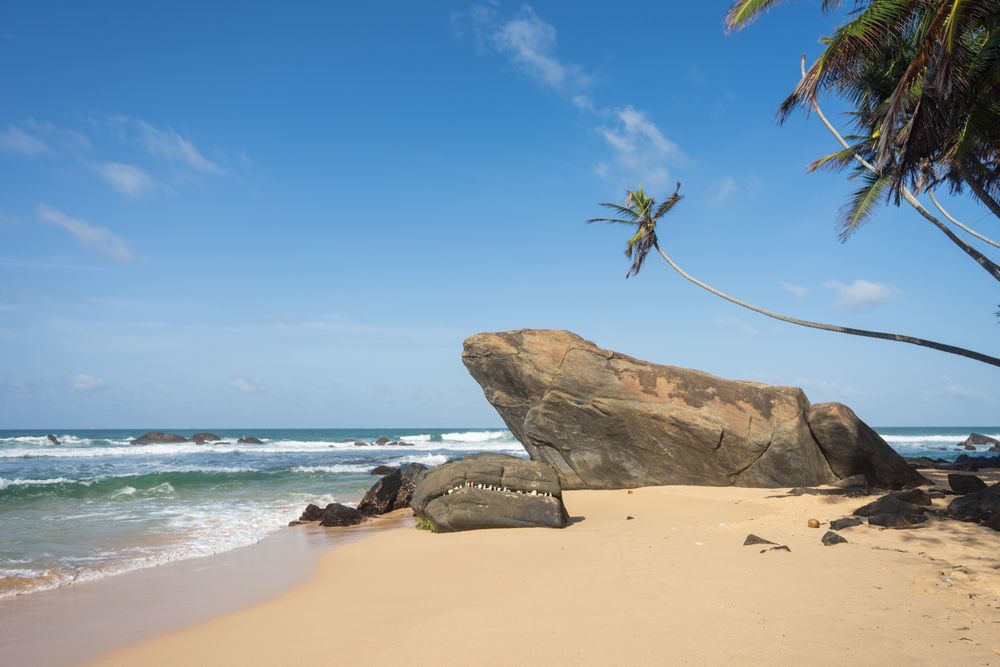 Idyllic scenery of sandy beach