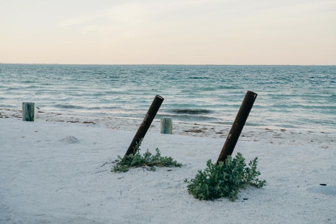 Two wooden posts in shore