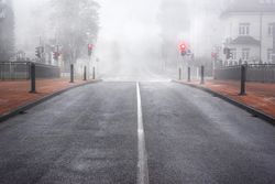 Boulevard in Slovenia surrounded by mist
