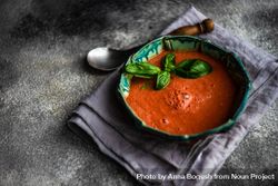 Traditional Spanish tomato soup Gazpacho with basil on grey counter 0Ld3By