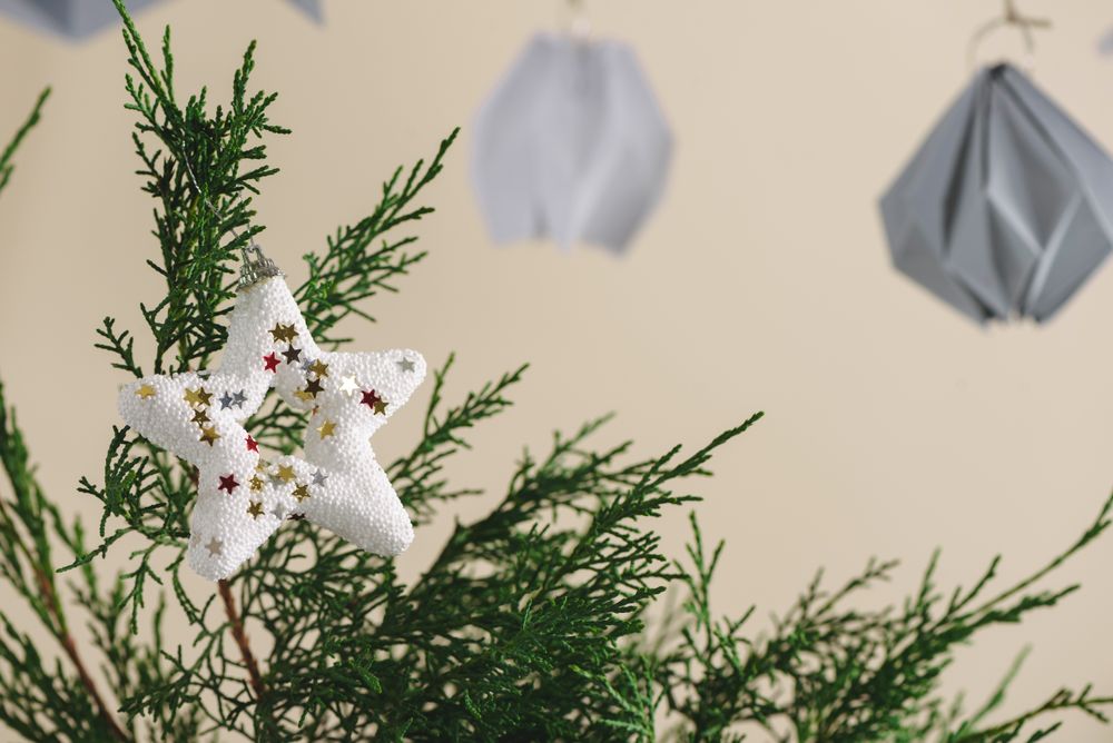pine christmas tree in vase, with white stars hanging on the table