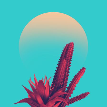 Cactus and sun on in duotone in vibrant bold colors