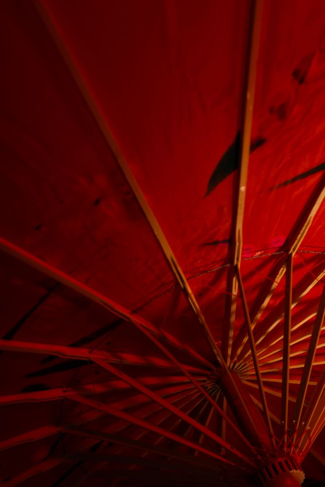 Traditional japanese umbrella, traditional japanese accessories concept