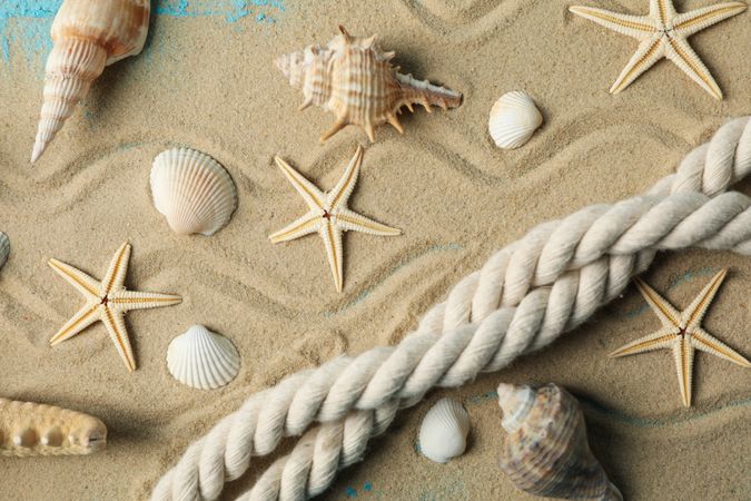 Starfish, seashells and rope on sea sand background, close up