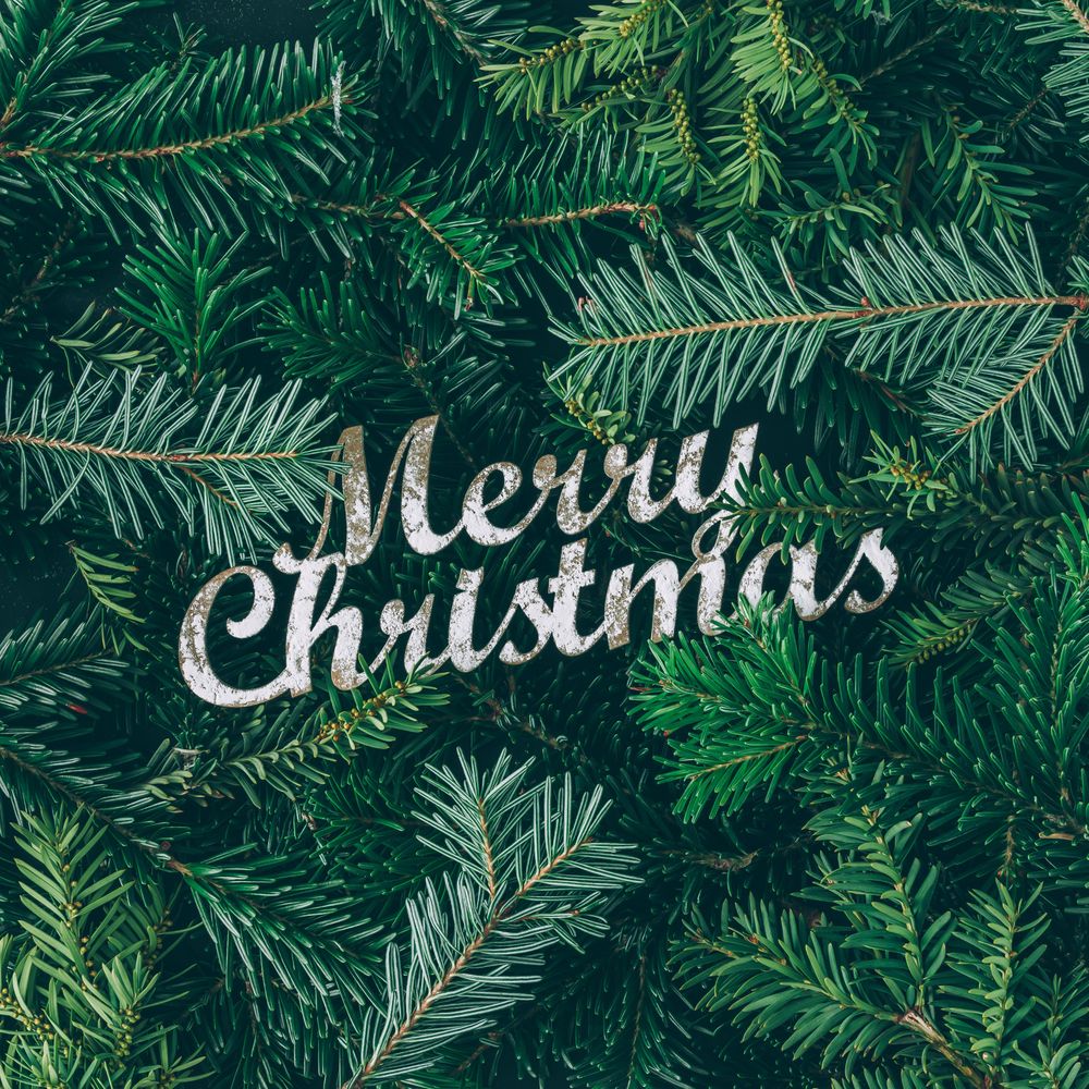 Christmas pine tree branches with the words “Merry Christmas”