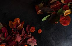 Top view of colorful autumn leaves on dark surface