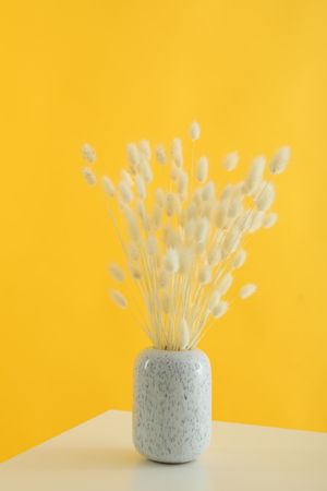 Speckled vase filled with dried bunny tail flowers in yellow room, vertical composition