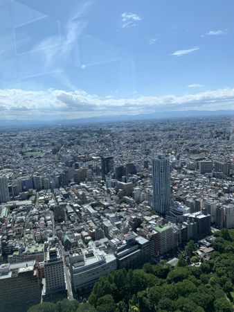 Tokyo's skyline during daytime in Japan