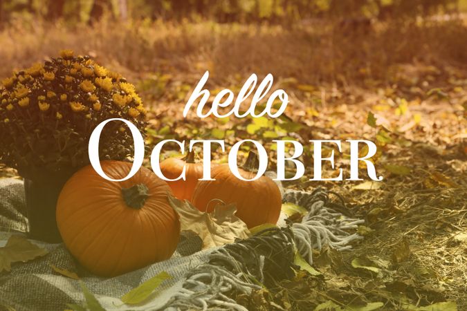Autumn concept with chrysanthemums and pumpkins outdoor