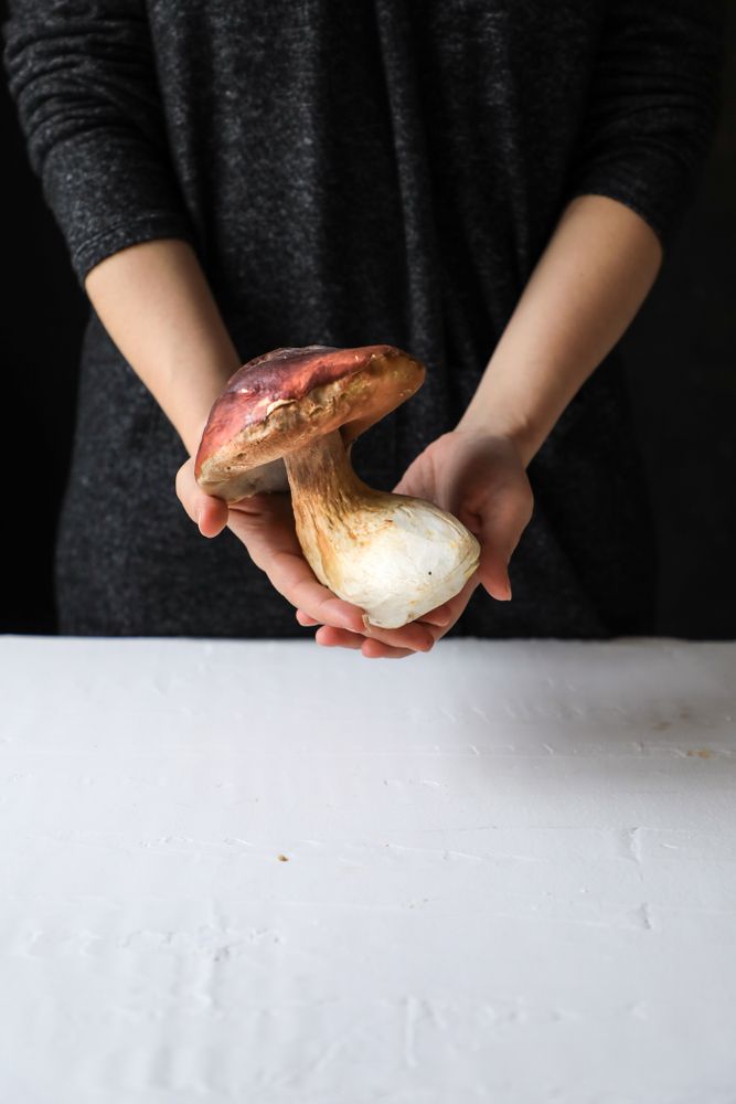 Large mushroom with brown cap