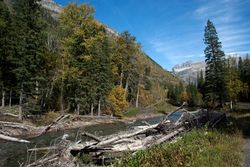 River and forest in the mountains of Glacier National Park , Montana E43OR4