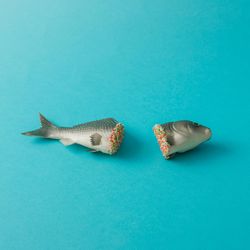 Fish cut in half with colorful sprinkles