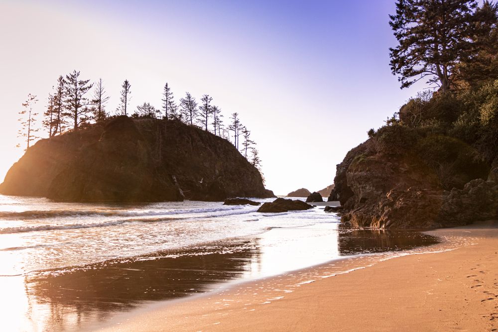 Beautiful tree lined rocky beach in late afternoon