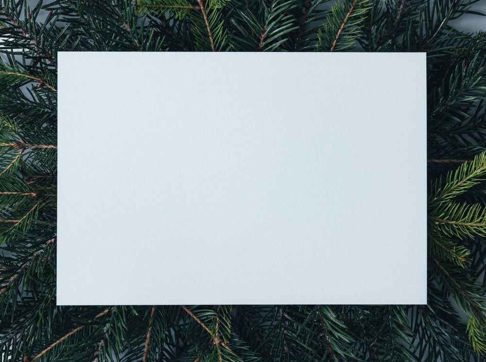 Pine tree branches with paper center
