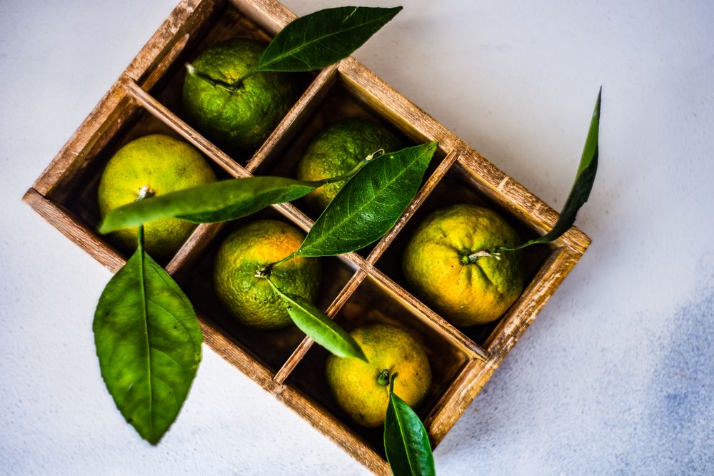 Fresh organic tangerine fruits in box
