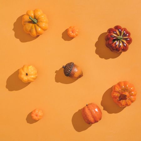 Pumpkins arranged on orange background with shadows