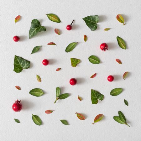 Green and red leaves, red berries on light  background