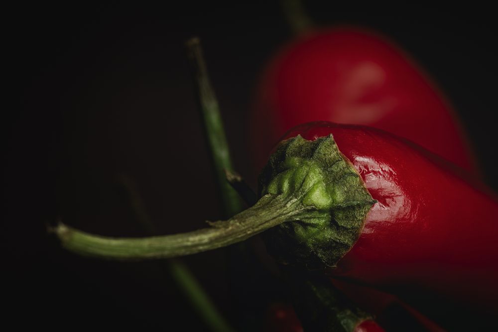 Fresh red and spicy chilli peppers