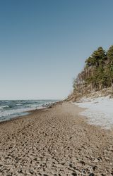 Seashore near green forest in snow