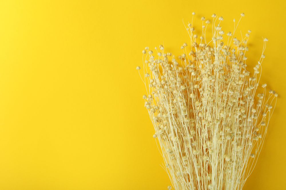 Dried flower bouquet with copy space