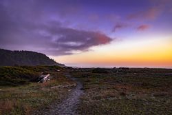 Beautiful view of the coast from a trail