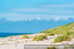 Landscape on Sylt island with marram grass dunes and a blue sky 43GAr4
