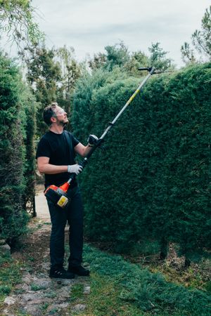 Man pruning arizonica hedge