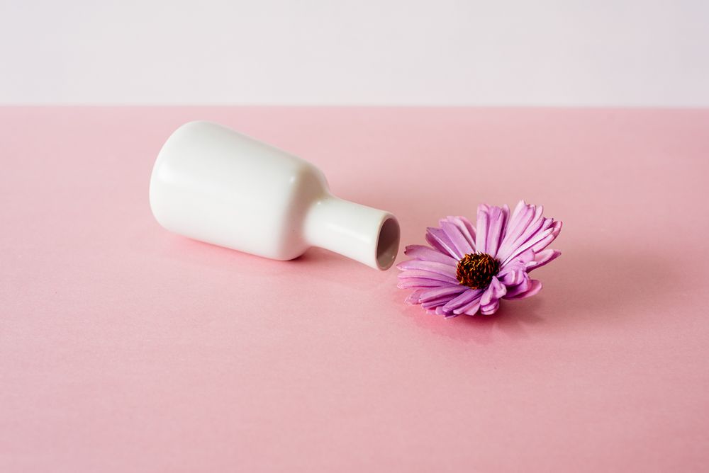 Tipped over violet daisy flowers in a pink and white background