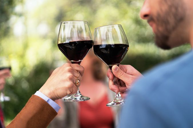 Close-up of a toast with elegant red wine glasses