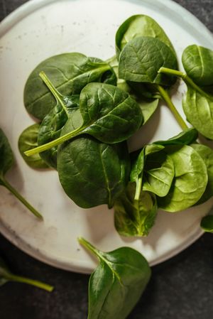 Fresh spinach on a rustic concrete crockery