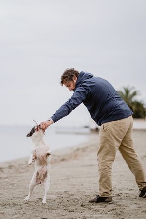 Owner playing with dog on beach