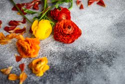 Summer floral card with fresh flowers and petals and grey counter