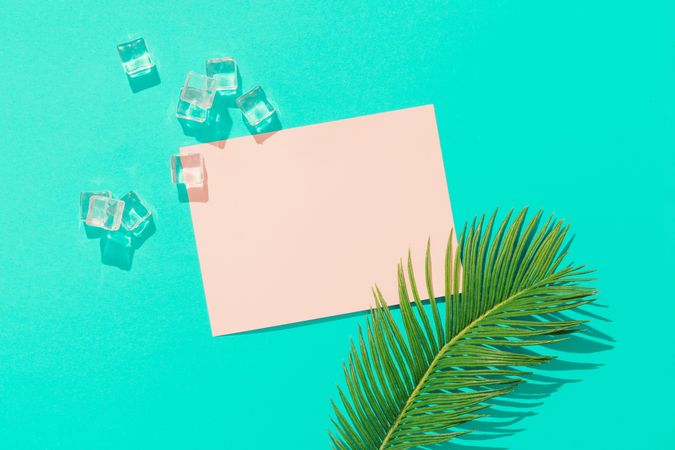 Tropical palm leaf with ice cubes and pink paper card note on vivid blue background