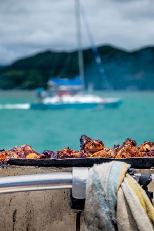 Fish and chicken on a BBQ in the Indian Ocean