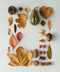 Layout made of autumn leaves, square, berries, nuts on light background