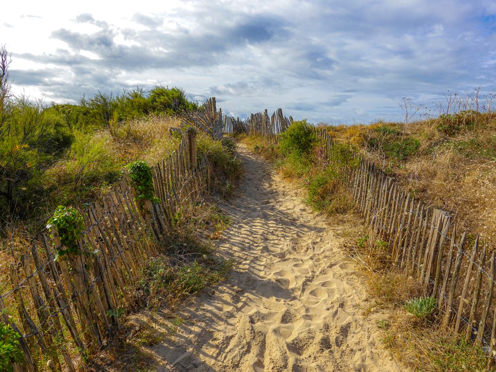 The coastal path at dawn, La Couarde sur Mer, France