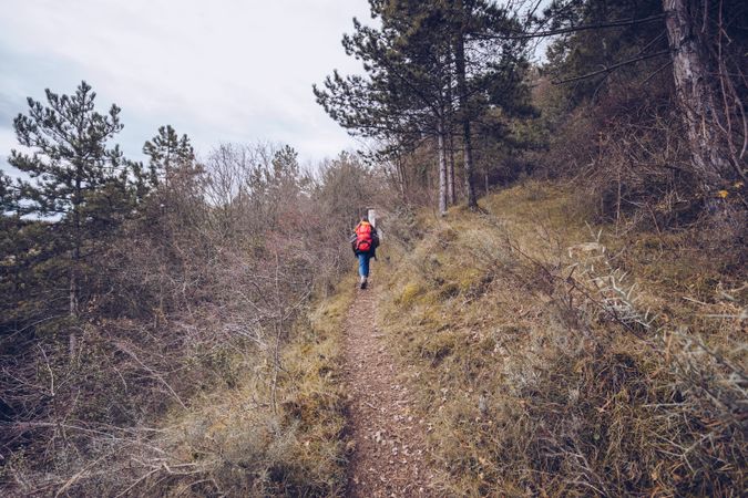 Hiker with backpack walking along pathway in autumn forest