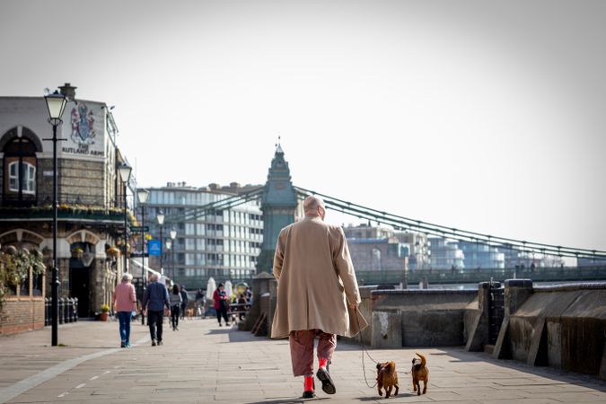 Rear view of man walking by river with two small dogs