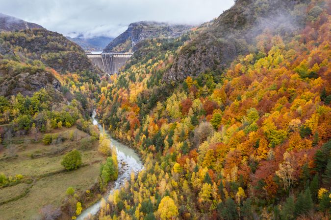 Dam amidst autumnal forest