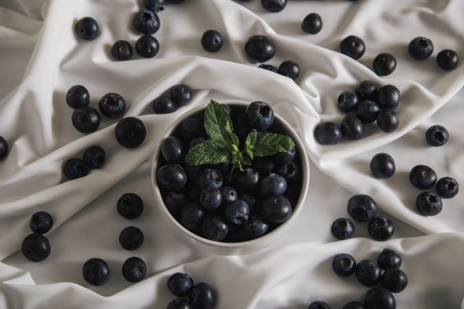 Appetizer plateful of blueberry on silk cloth