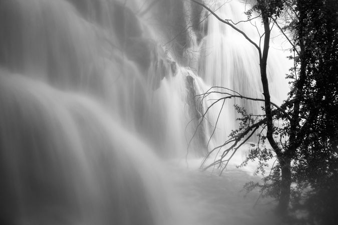 Wonderful waterfall near tree
