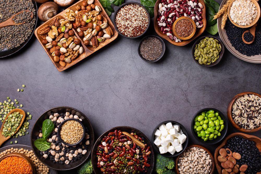Variety of healthy vegan, plant based protein source and body building food with copy space