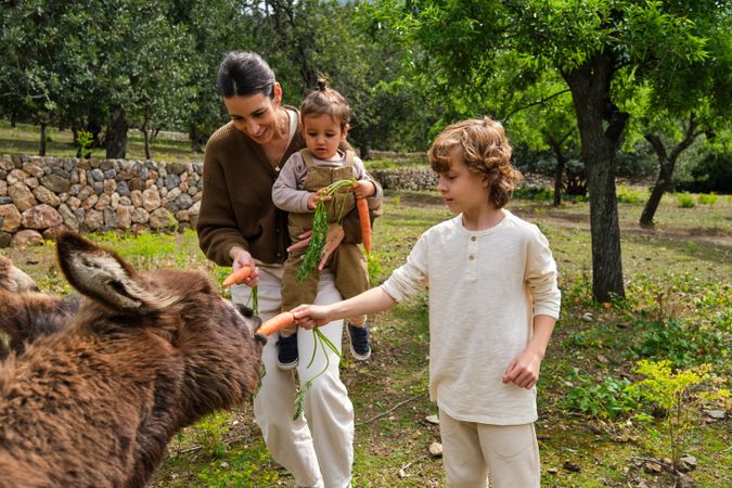 Cheerful mother and kids feeding cute donkeys