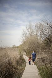 Man and little girl walking on a wooden walkway in a park on a sunny day, vertical
