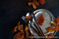 Top view of table settings of shiny ceramic plates with autumn leaves and cutlery 5zJak5