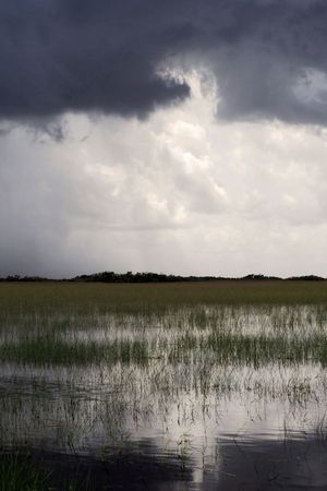 Storm on the Horizon: Overlooking the Everglades Marsh Under a Brooding Sky