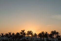 Sun rising over houses and palms